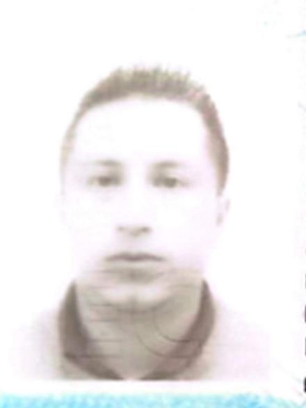 User Image
